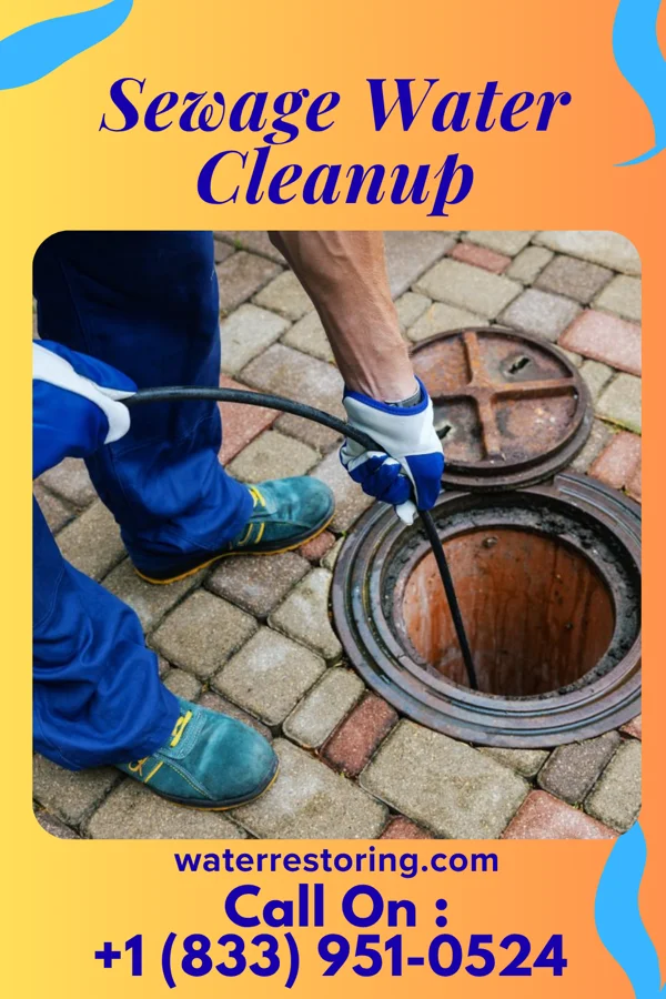 Sewage Water Cleanup in Marmaduke, AR